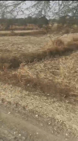  130 Acre Agricultural/Farm Land for Sale in Bilaspur Road, Raipur