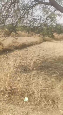  8000 Sq.ft. Commercial Land for Sale in Jora, Raipur