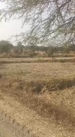  8000 Sq.ft. Commercial Land for Sale in Jora, Raipur