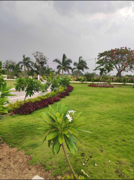  1800 Sq.ft. Agricultural/Farm Land for Sale in Old Dhamtari Road, Raipur