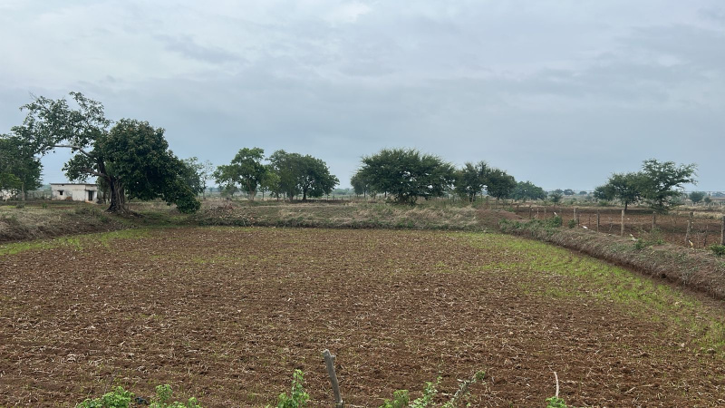  10000 Sq.ft. Residential Plot for Sale in Kachna, Raipur