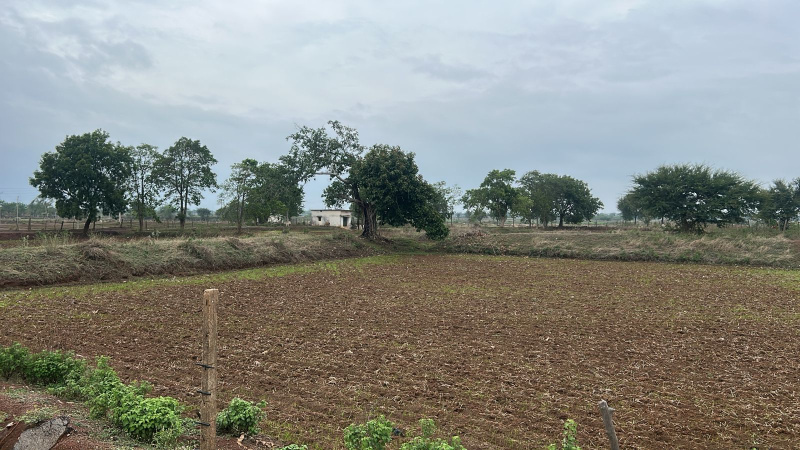  10000 Sq.ft. Residential Plot for Sale in Kachna, Raipur