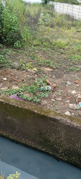  10000 Sq.ft. Agricultural/Farm Land for Sale in Mandir Hasaud, Raipur