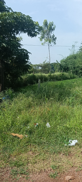  10000 Sq.ft. Agricultural/Farm Land for Sale in Naya Raipur, Raipur