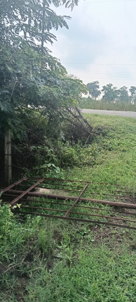  10000 Sq.ft. Agricultural/Farm Land for Sale in Naya Raipur, Raipur