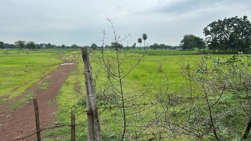  36000 Sq.ft. Agricultural/Farm Land for Sale in Naya Raipur, Raipur