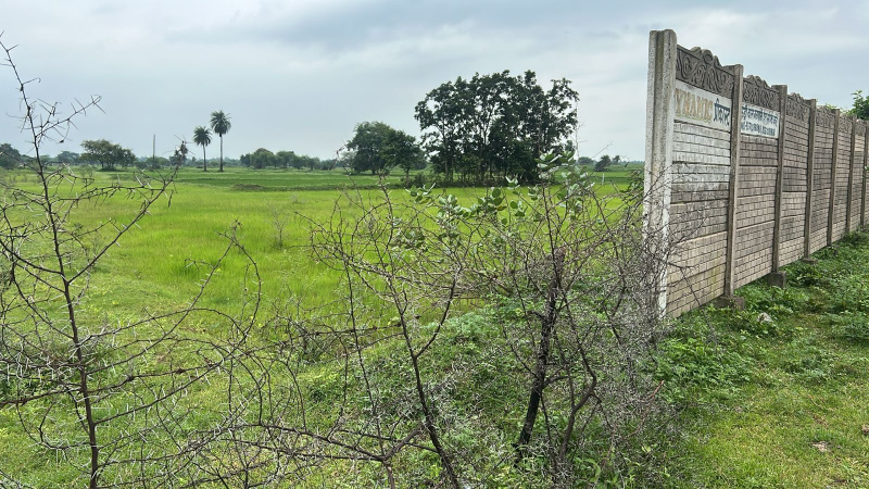  36000 Sq.ft. Agricultural/Farm Land for Sale in Naya Raipur, Raipur