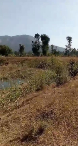  13 Acre Agricultural/Farm Land for Sale in Bilaspur Road, Raipur