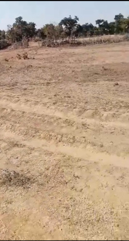  13 Acre Agricultural/Farm Land for Sale in Bilaspur Road, Raipur