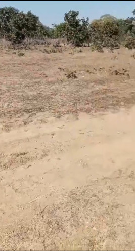  13 Acre Agricultural/Farm Land for Sale in Bilaspur Road, Raipur