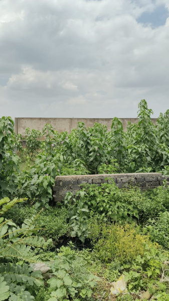  6 Ares Agricultural/Farm Land for Sale in Tilda, Raipur