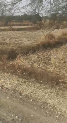  1 Acre Agricultural/Farm Land for Sale in Saragaon, Raipur