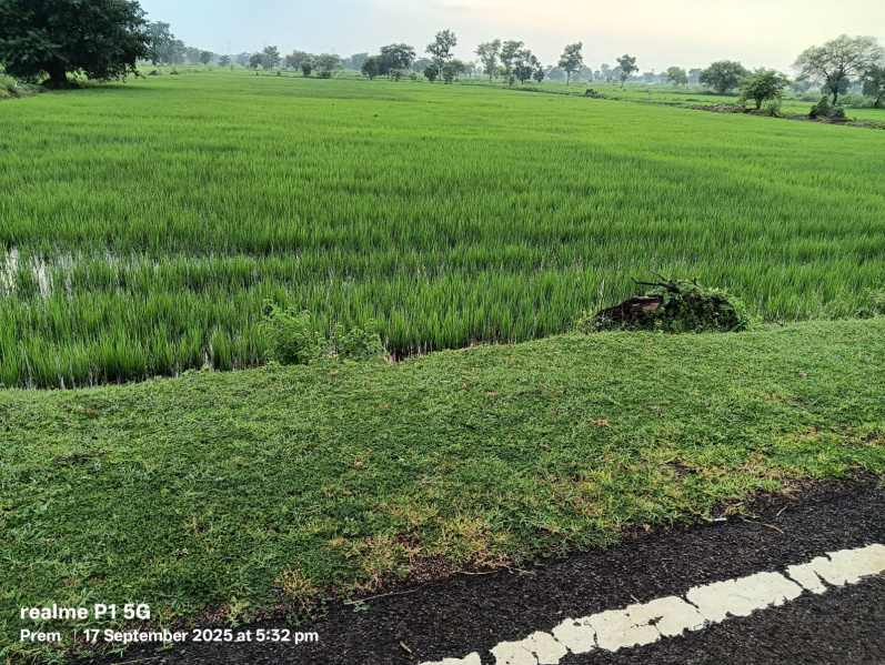  3 Acre Agricultural/Farm Land for Sale in Saragaon, Raipur