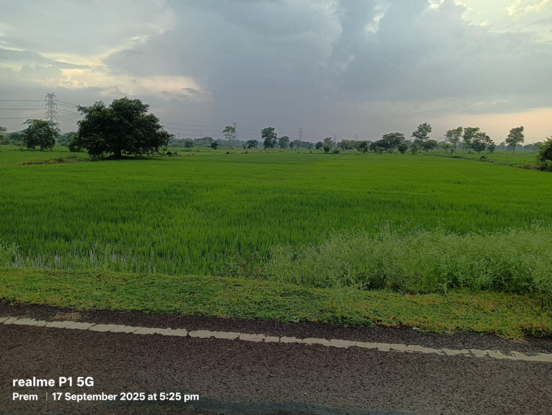  3 Acre Agricultural/Farm Land for Sale in Saragaon, Raipur
