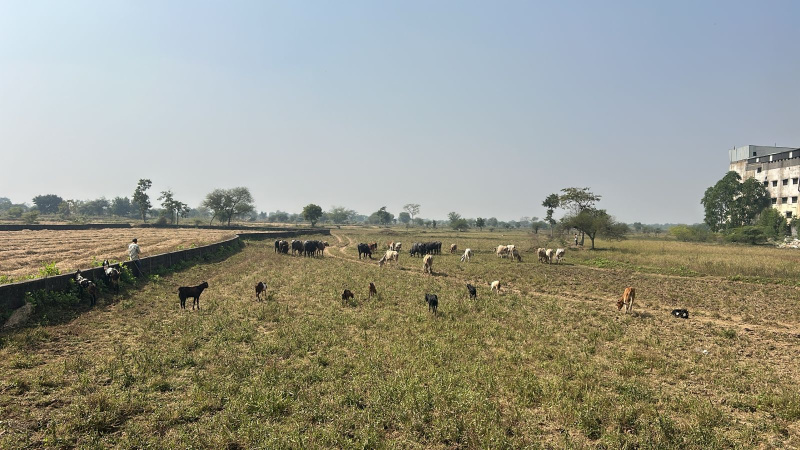  2 Acre Agricultural/Farm Land for Sale in Vidhan Sabha Road, Raipur