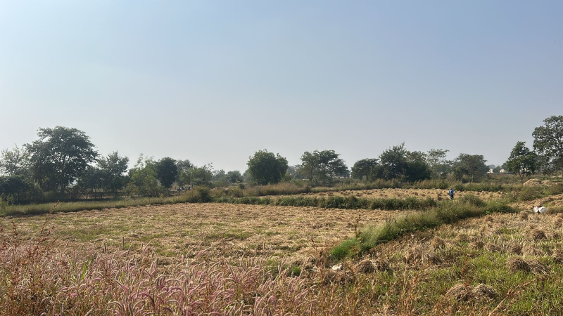  2 Acre Agricultural/Farm Land for Sale in Vidhan Sabha Road, Raipur