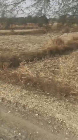  2 Ares Agricultural/Farm Land for Sale in Baikunth, Raipur