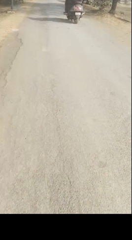  2 Ares Agricultural/Farm Land for Sale in Baikunth, Raipur