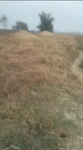  23000 Sq.ft. Agricultural/Farm Land for Sale in Boria Kalan, Raipur