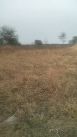  23000 Sq.ft. Agricultural/Farm Land for Sale in Boria Kalan, Raipur