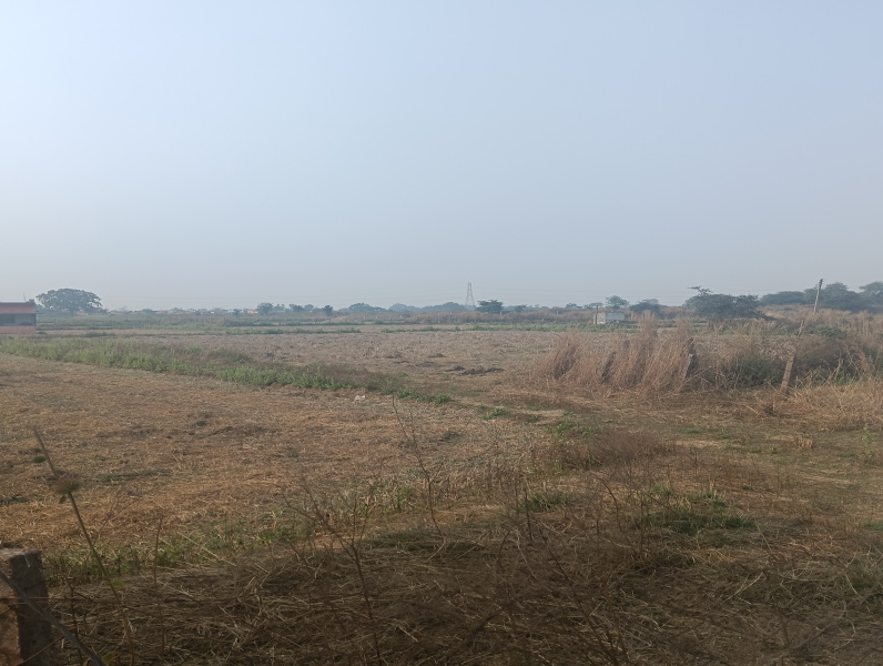  5 Acre Agricultural/Farm Land for Sale in Mandir Hasaud, Raipur