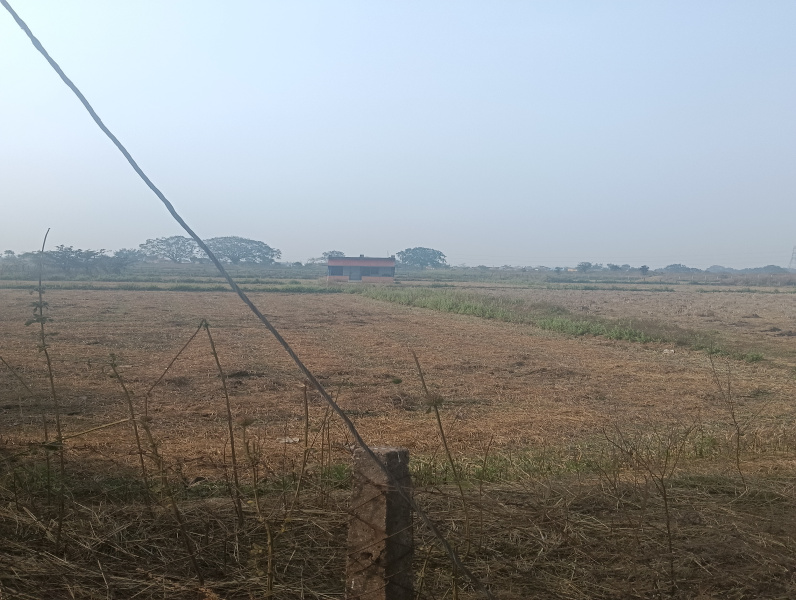  5 Acre Agricultural/Farm Land for Sale in Mandir Hasaud, Raipur