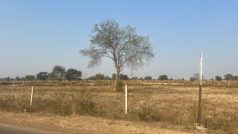  3 Acre Agricultural/Farm Land for Sale in Khamadi, Raipur