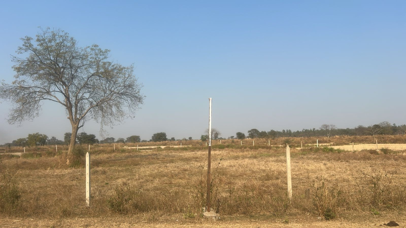  3 Acre Agricultural/Farm Land for Sale in Khamadi, Raipur