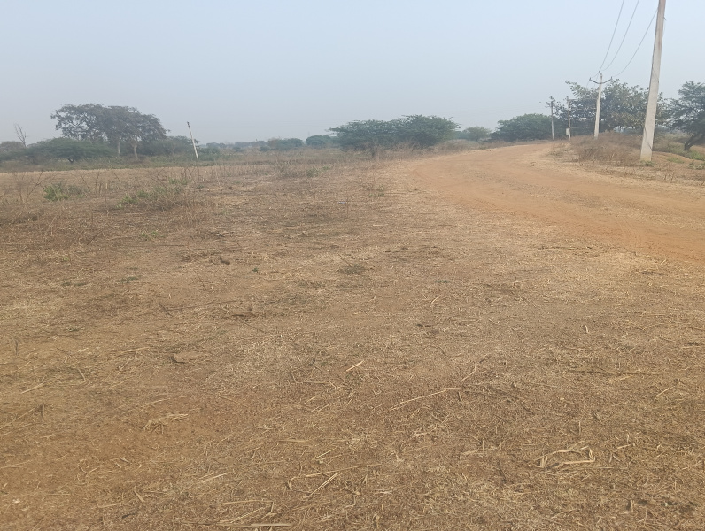  60 Acre Agricultural/Farm Land for Sale in Daldal Seoni, Raipur