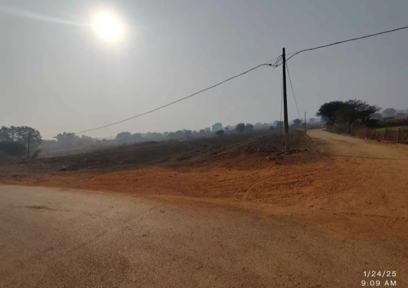  55 Acre Agricultural/Farm Land for Sale in Dola, Shahdol