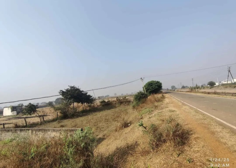  55 Acre Agricultural/Farm Land for Sale in Dola, Shahdol