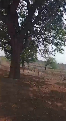  200 Acre Agricultural/Farm Land for Sale in VIP Colony, Raipur