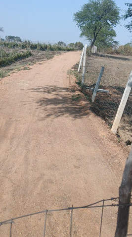  60 Acre Agricultural/Farm Land for Sale in Pachpedi Naka, Raipur