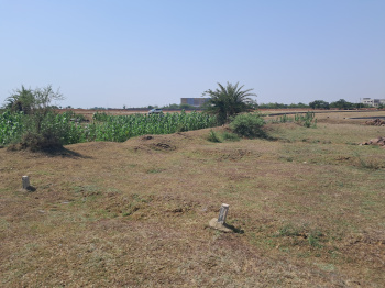  Agricultural Land for Sale in Kurud, Raipur