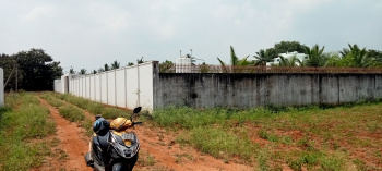  Residential Plot for Sale in Panjapur, Tiruchirappalli