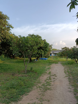  Agricultural Land for Sale in Bangarupalem, Chittoor