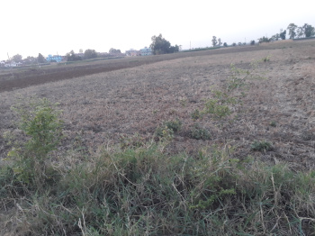  Agricultural Land for Sale in Batraha, Saharsa