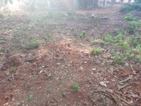  Residential Plot for Sale in Sreekrishnapuram, Palakkad
