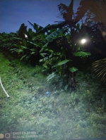  Agricultural Land for Sale in Channapatna, Bangalore