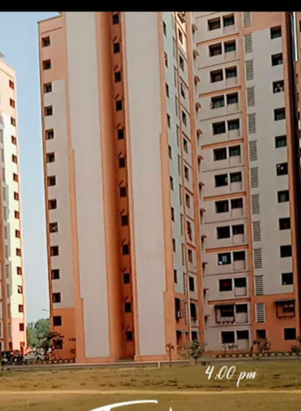 1 BHK Apartment 320 Sq.ft. for Rent in Taloja Phase 2, Mumbai
