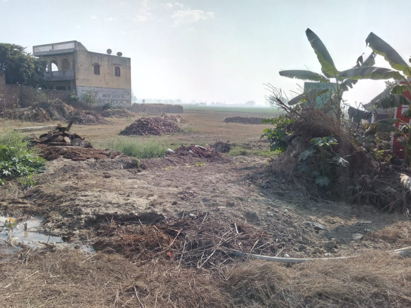 Agricultural Land 11 Bigha for Sale in Khair, Aligarh