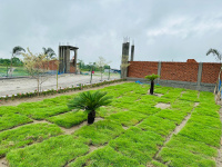 Residential Plot for Sale in Bagdogra, Darjeeling
