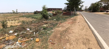  Commercial Land for Sale in Piro, Bhojpur