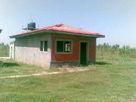  Agricultural Land for Sale in Chhata, Mathura