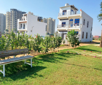  Residential Plot for Sale in Sector 22 Dharuhera