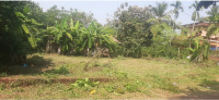  Residential Plot for Sale in Pappinisseri, Kannur