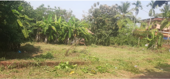  Residential Plot for Sale in Pappinisseri, Kannur