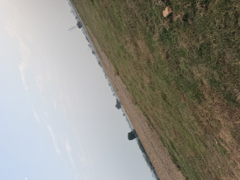  Residential Plot for Sale in Sector 14 Palwal