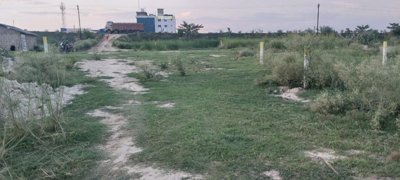  Residential Plot 1900 Sq.ft. for Sale in Mabbi Belauna, Darbhanga