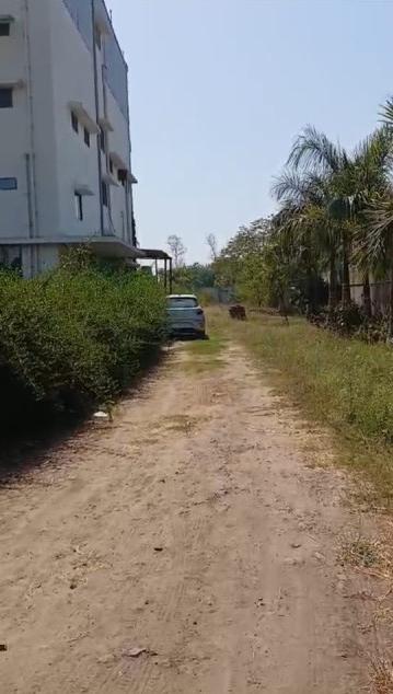  60000 Sq.ft. Factory for Rent in Halol, Vadodara